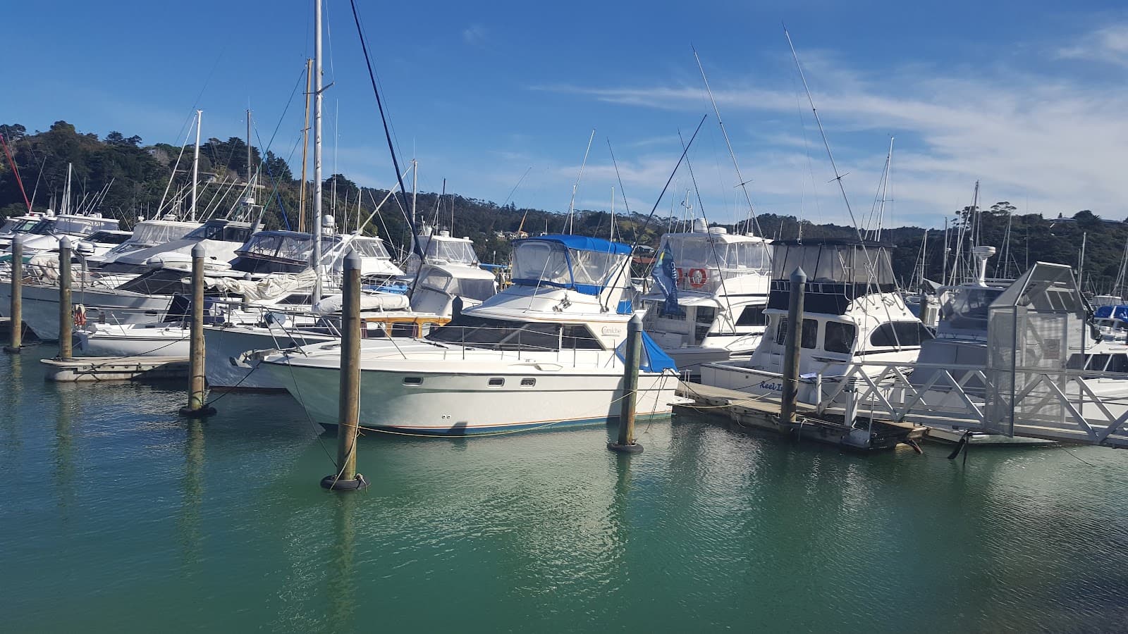 Tutukaka Coast Tutukaka Marina - Image 1