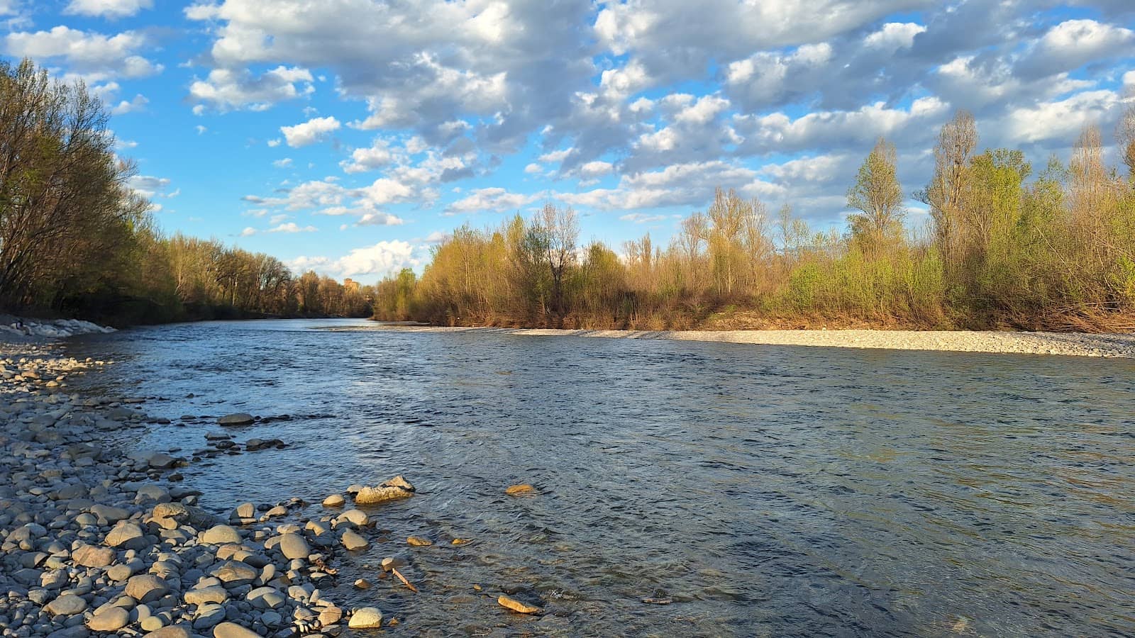 Shaded Riverside Promenade