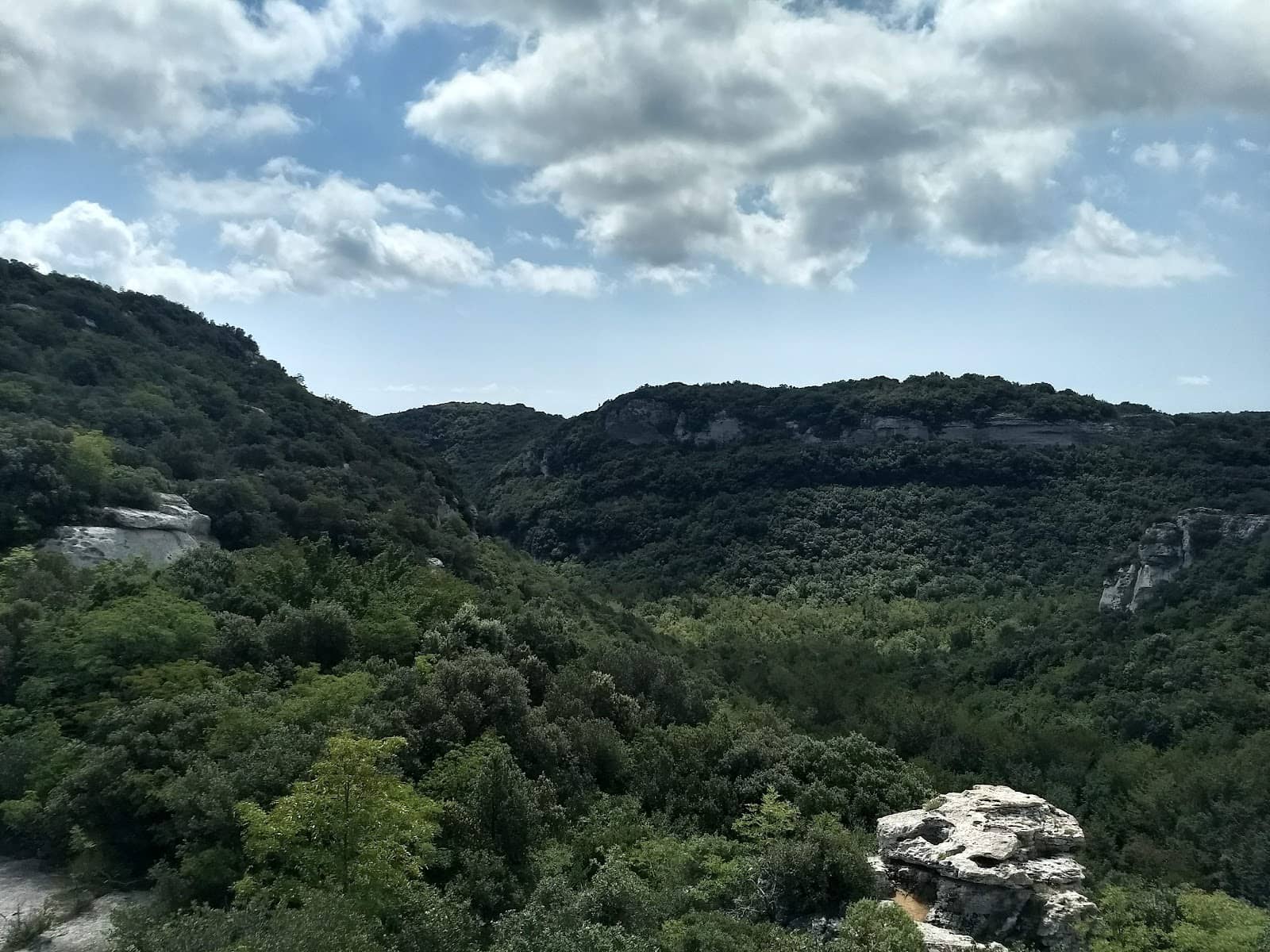 Vertical photo