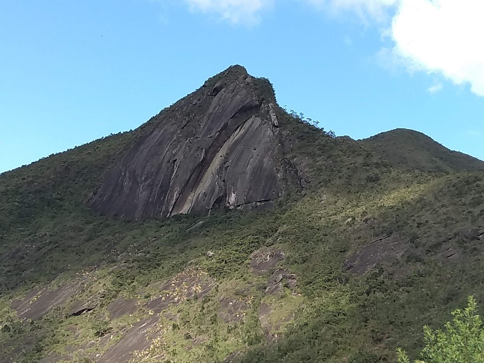 Araras Brazil - Image 1