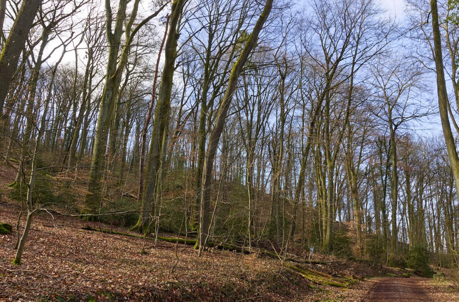 Climbing Areas