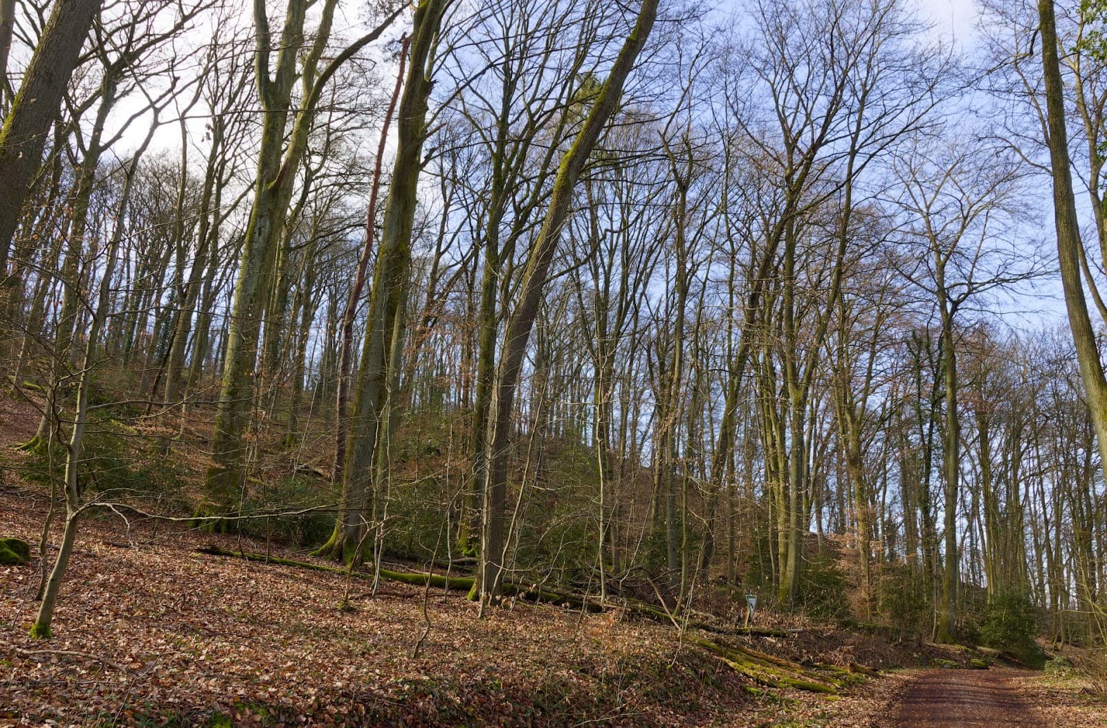 Nonnenstromberg - Image 1