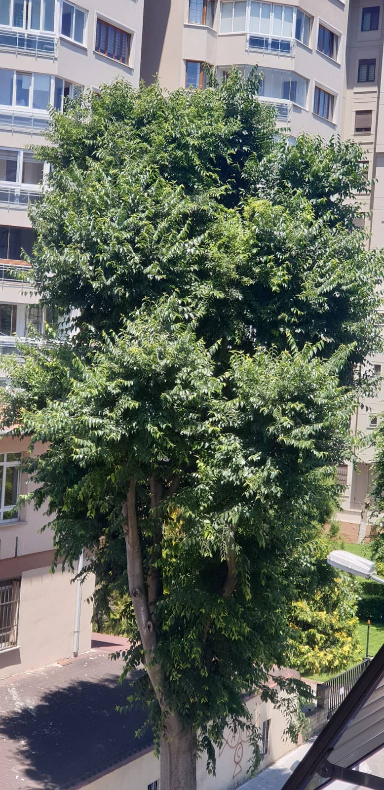 Vertical photo