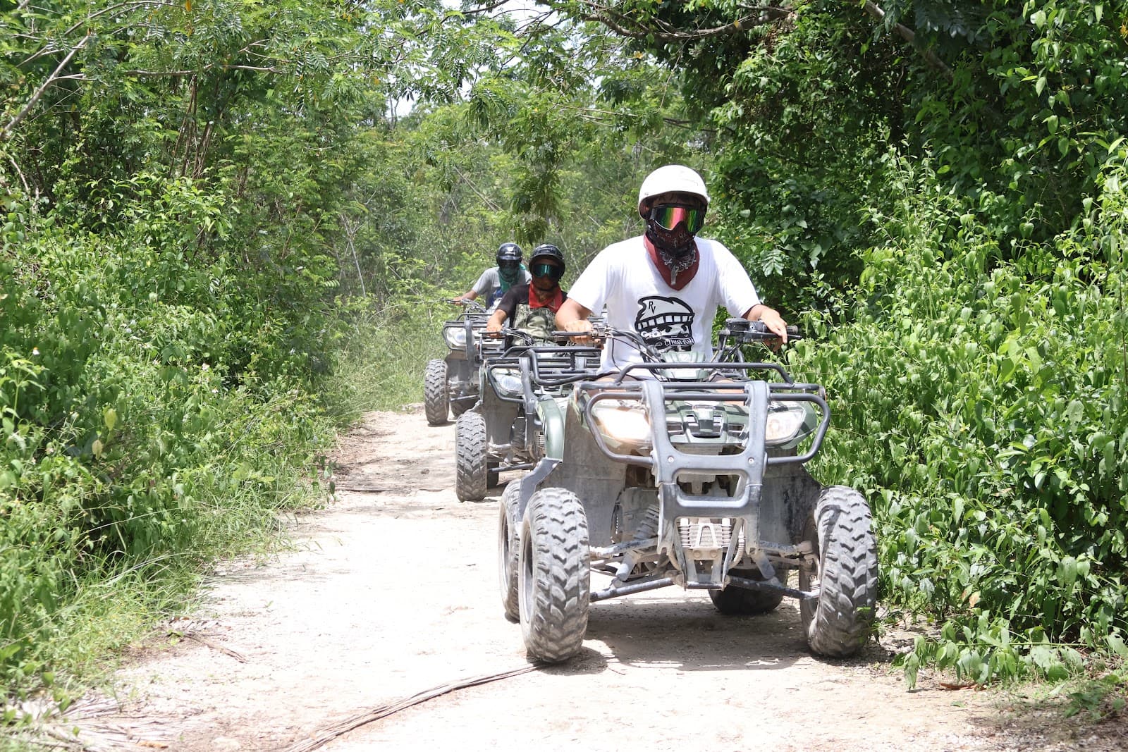 Jungle Trail Cozumel - Image 1