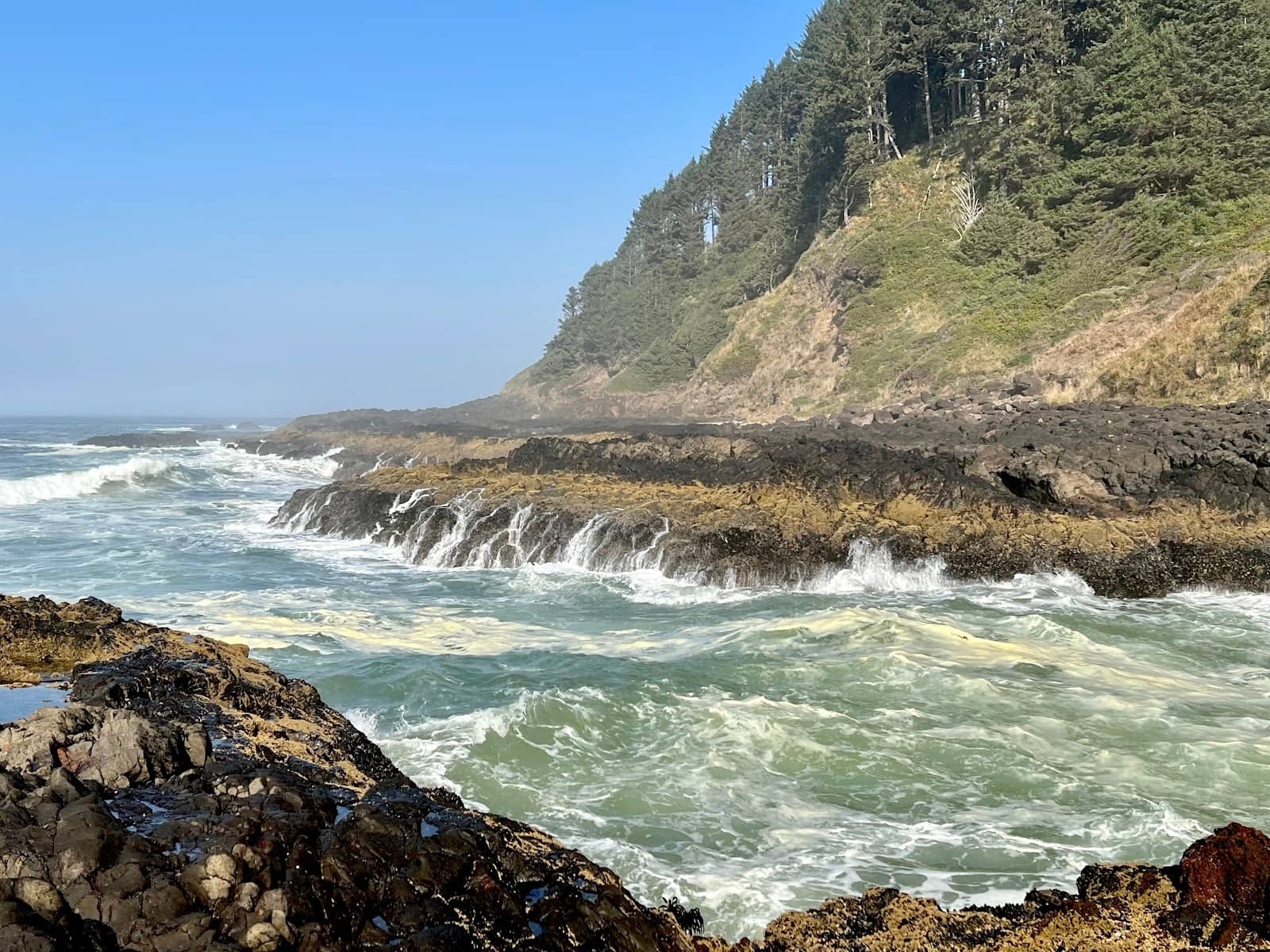 Cape Perpetua Trails
