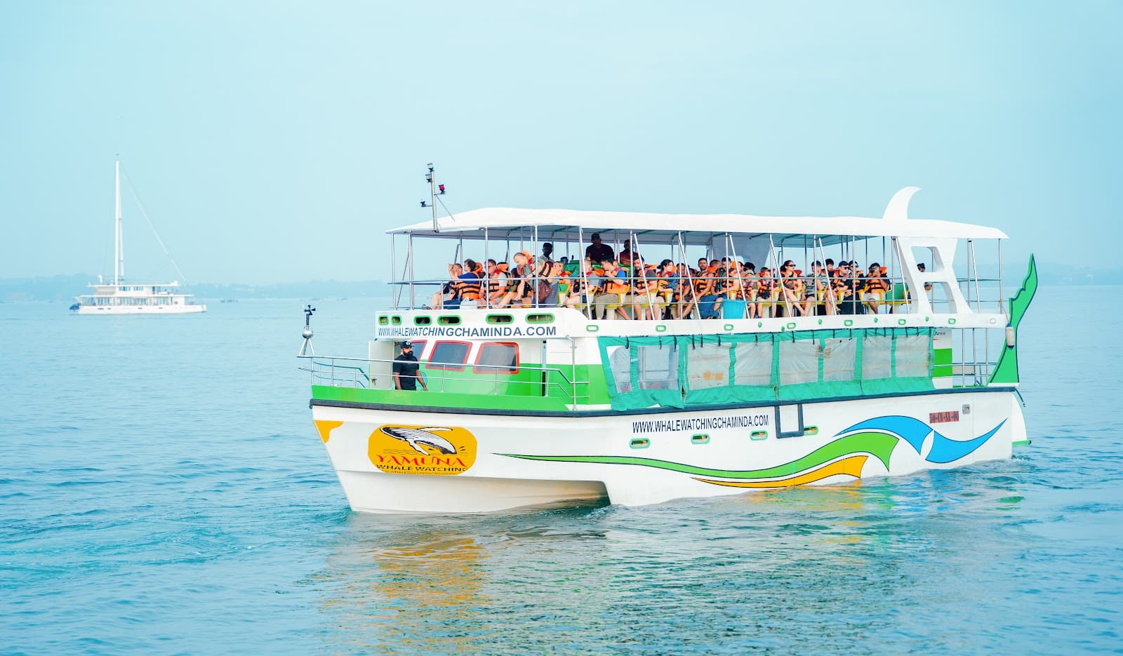 Mirissa Whale Watching - Image 1