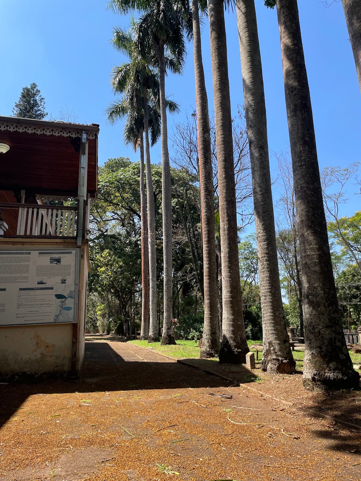 Museu Histórico de Ribeirão Preto - Image 1