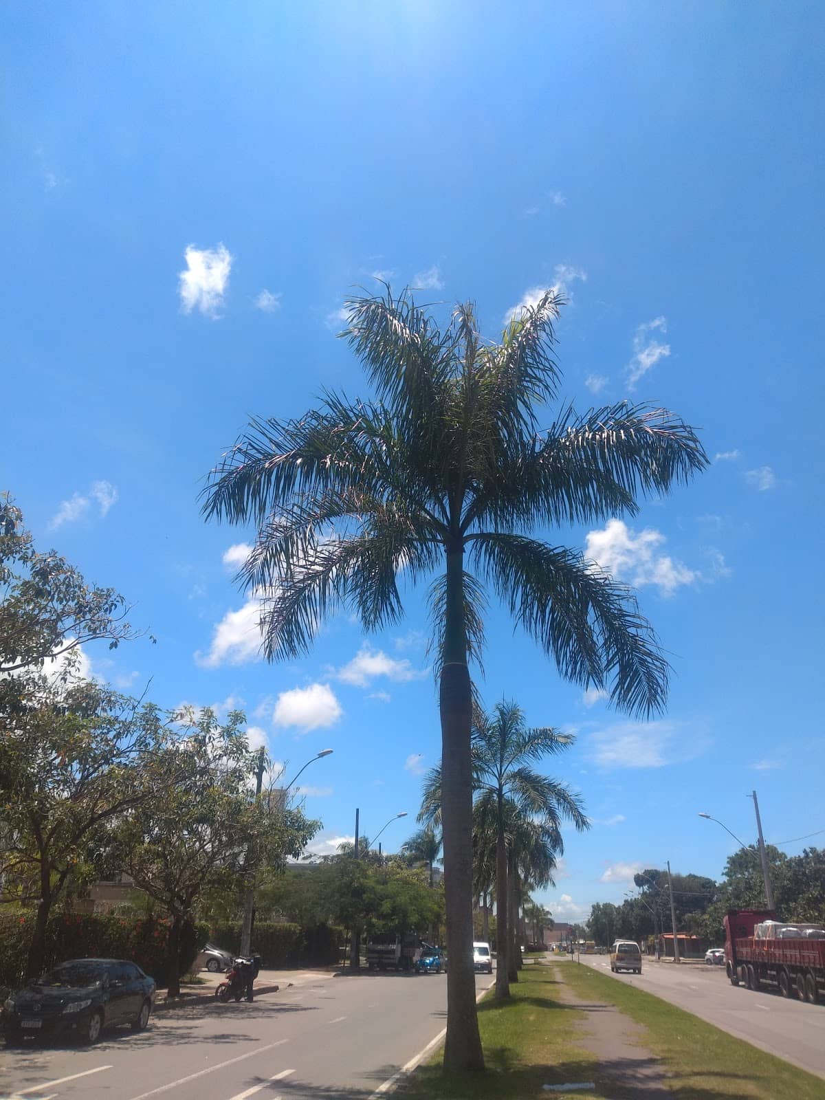 Vertical photo