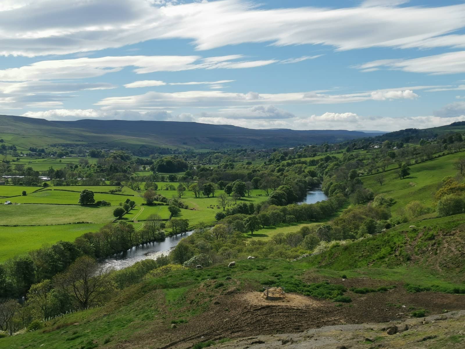 River Tees Meanders