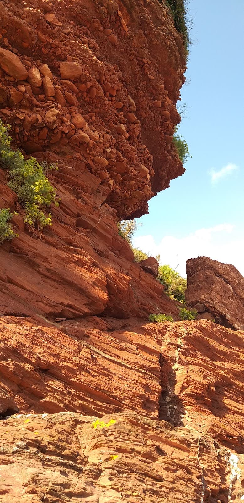 Oyster Cove - Image 1