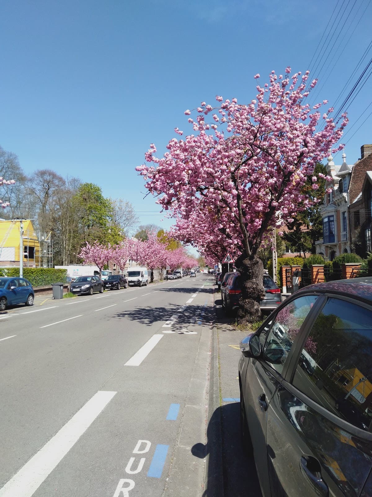 Le Colysée Lambersart - Image 1