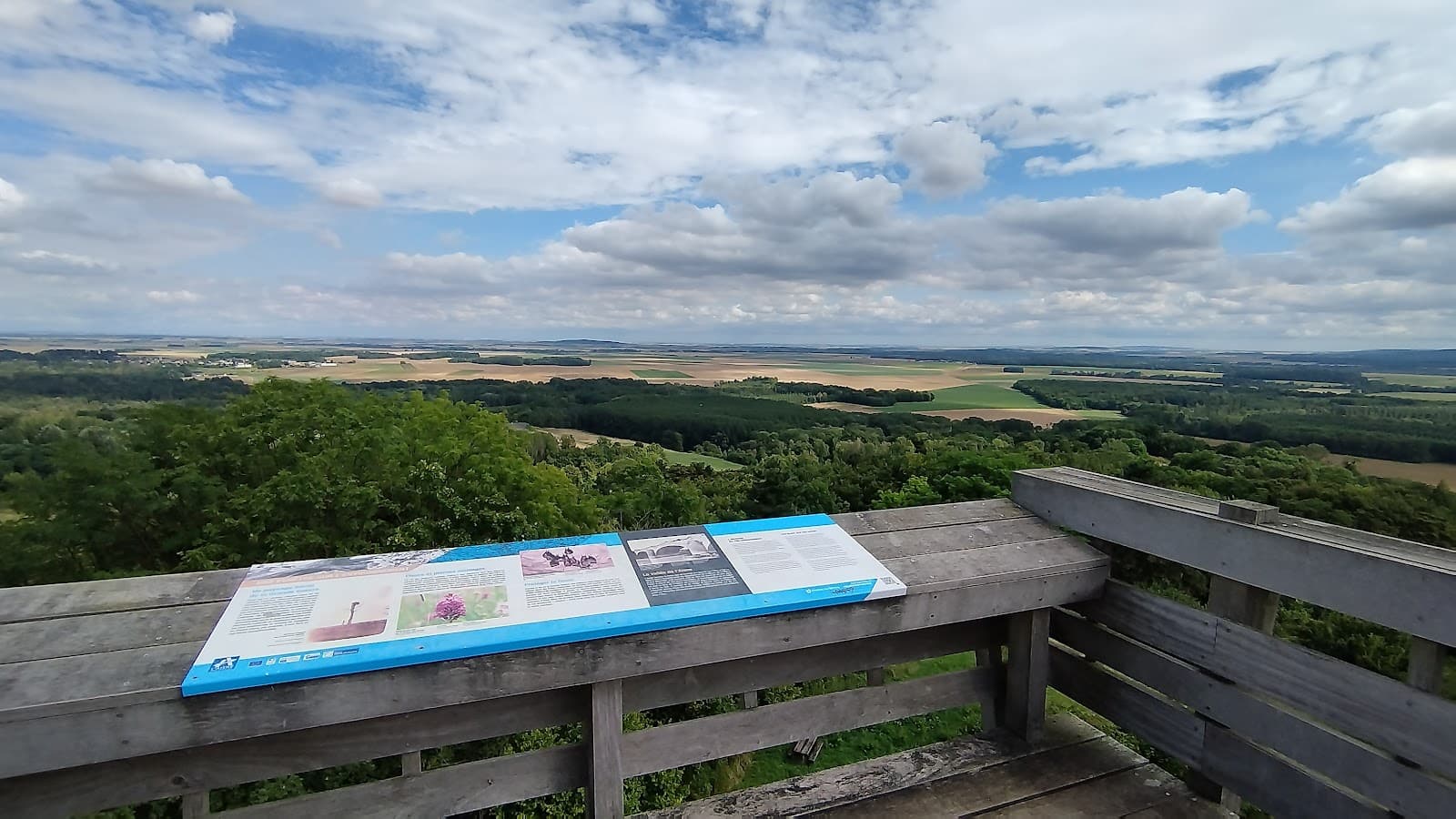 Old Craonne Arboretum - Image 1