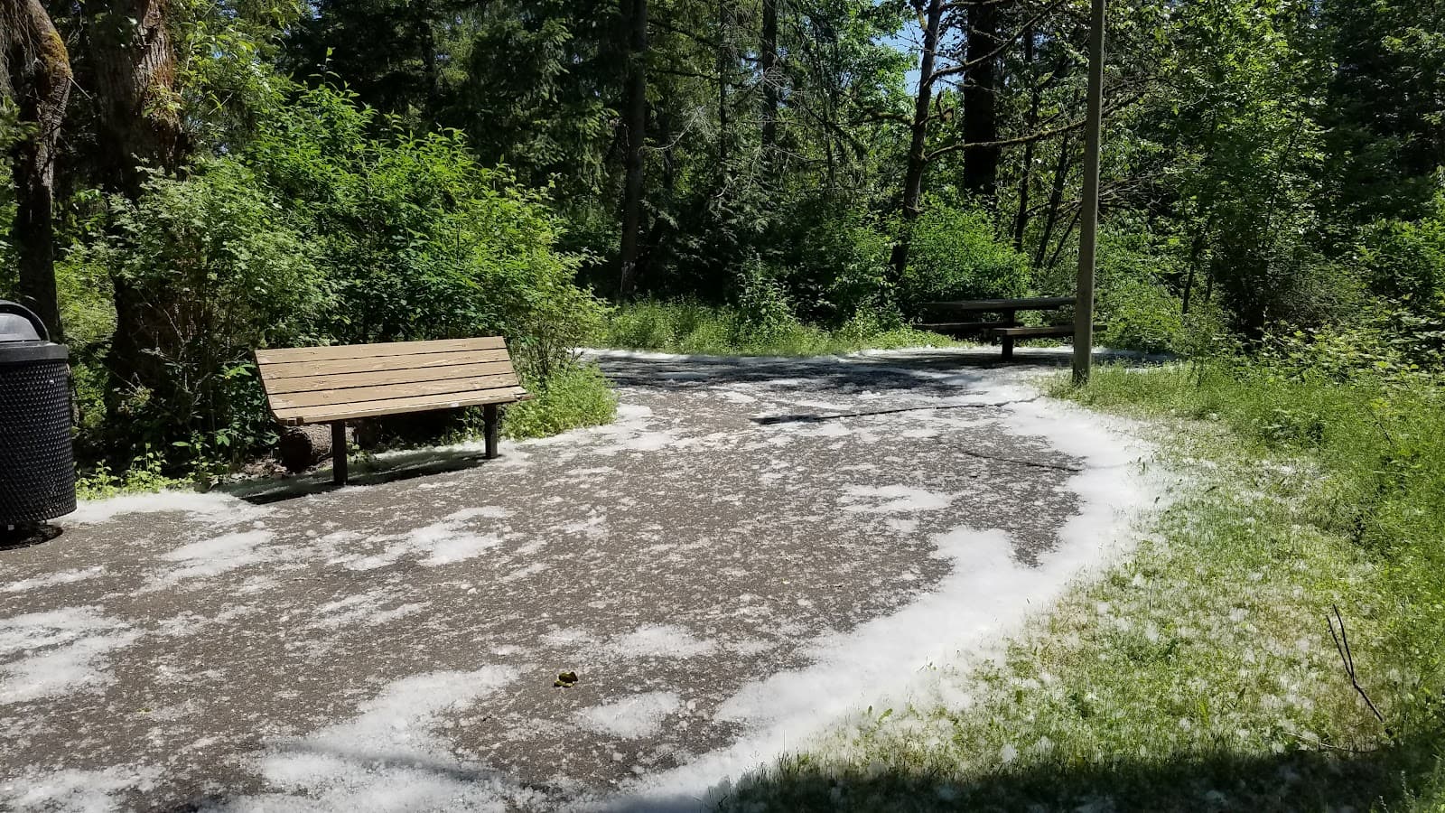 White River Trail - Image 1