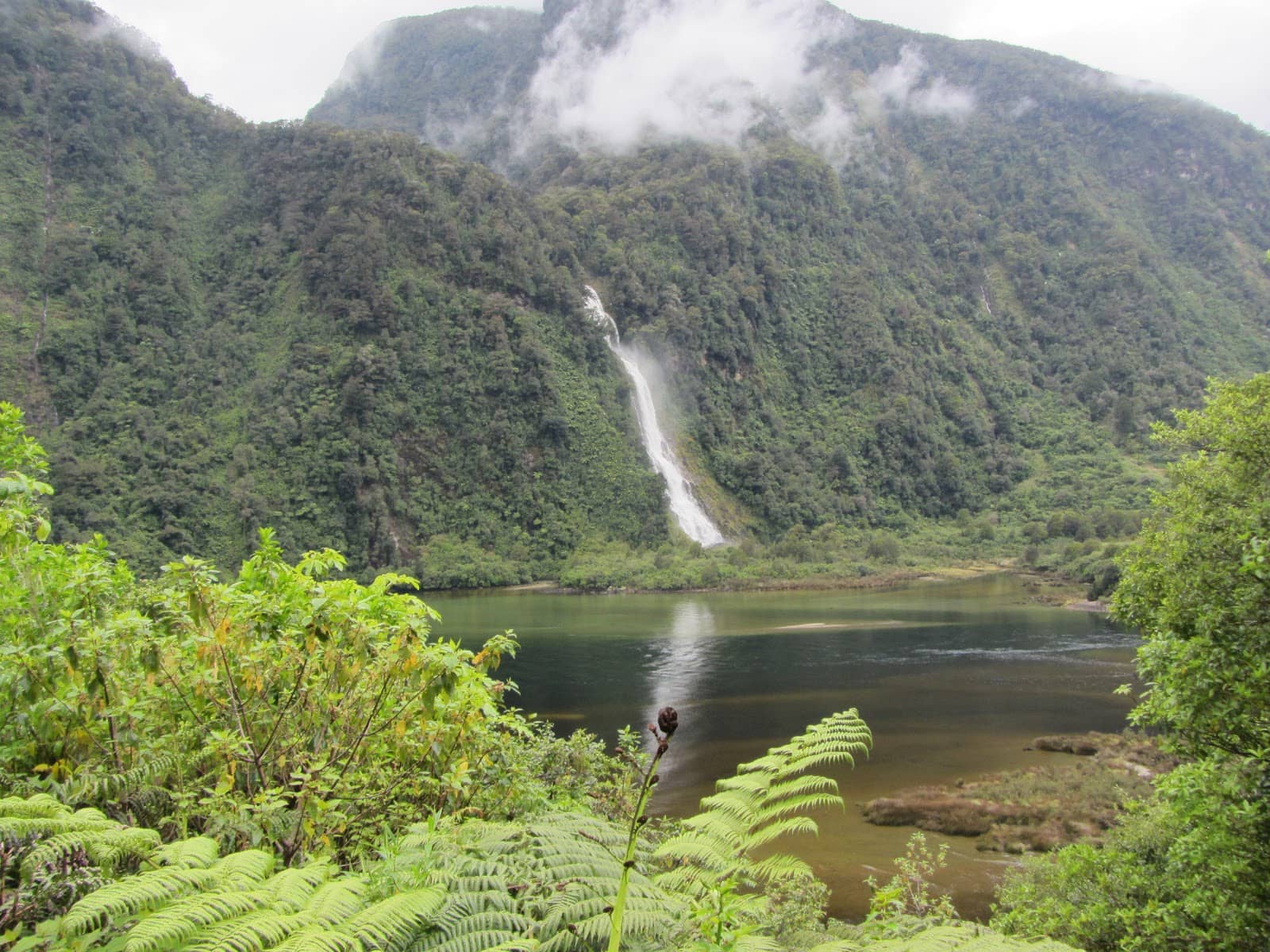 Doubtful Sound Excursion