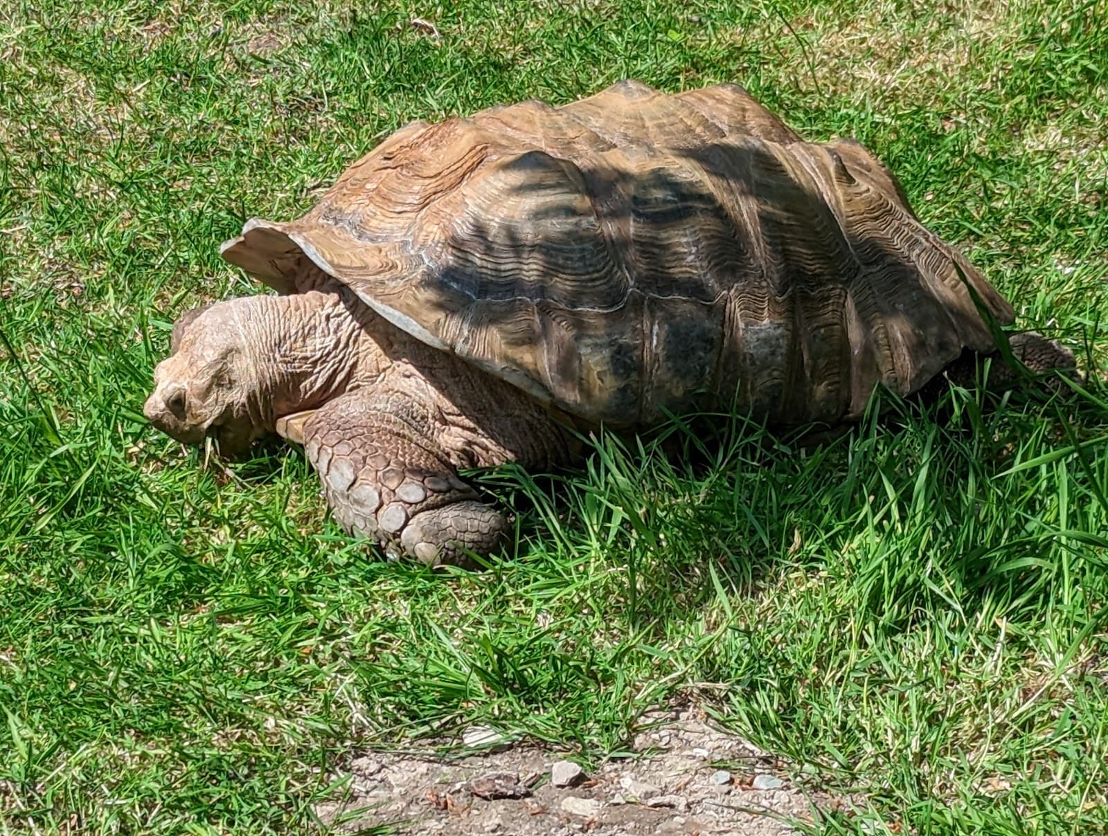 Exmoor Zoo - Image 1