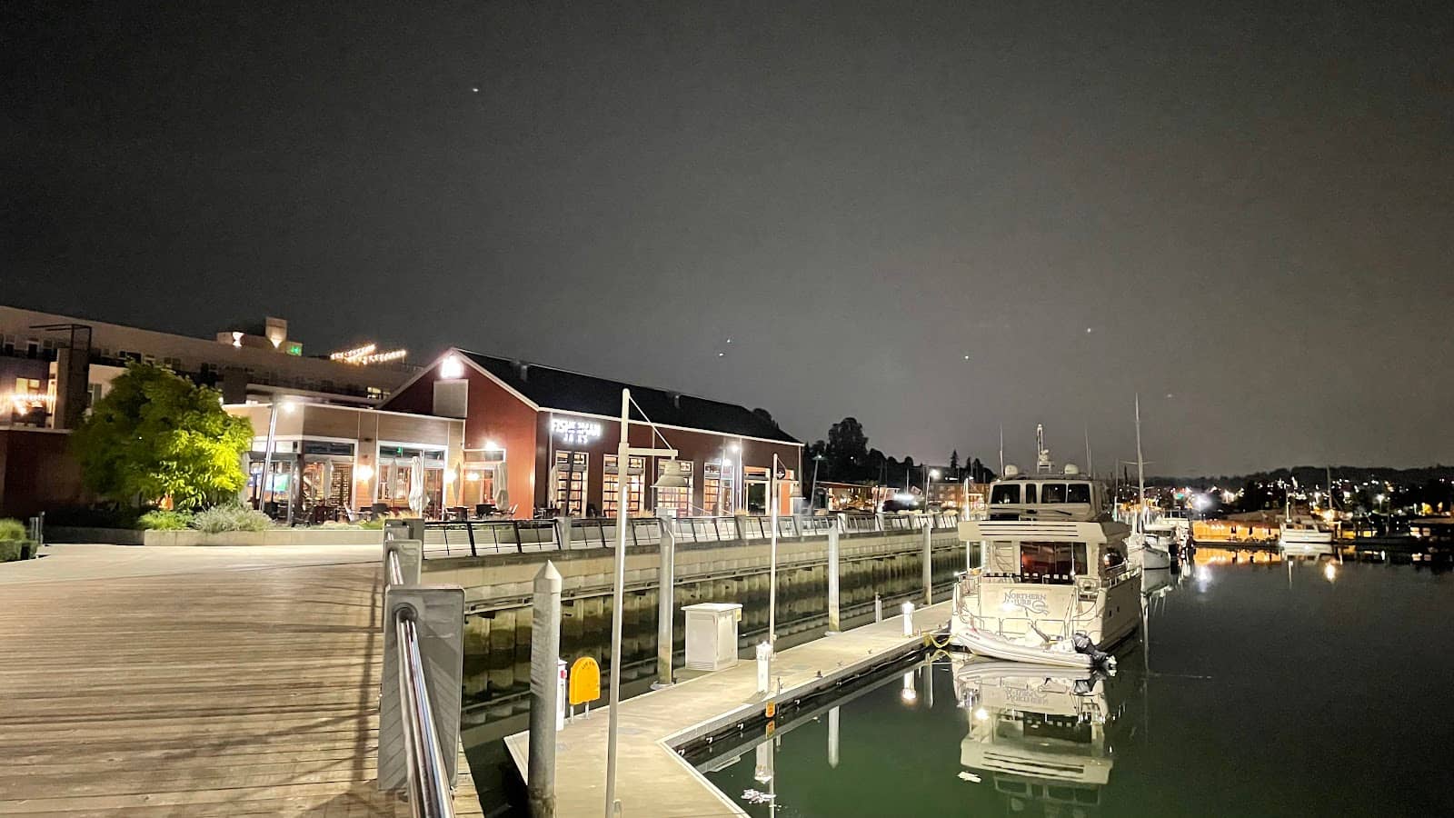 Frozen Fountain Tree
