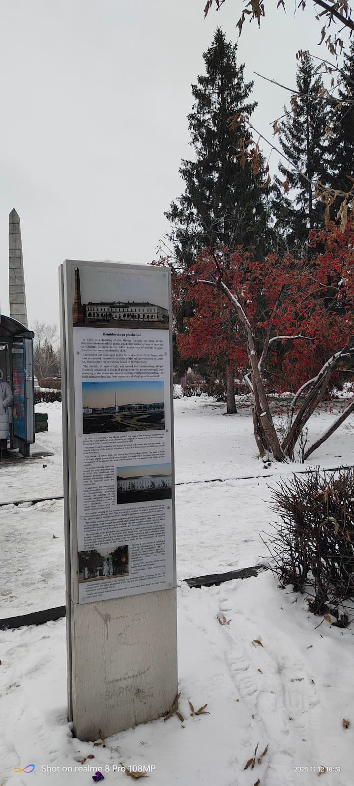 Demidov Square - Image 1