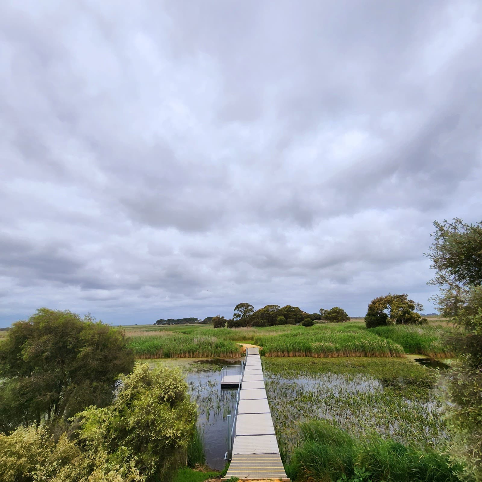 Hacks Lagoon Conservation Park - Image 1