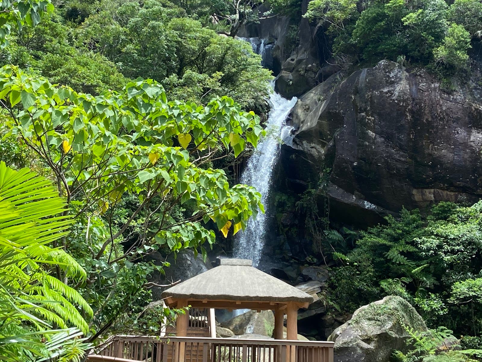 Todoroki Waterfall - Image 1