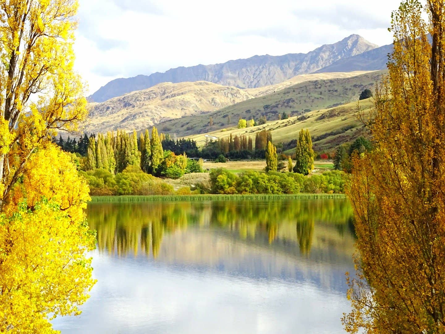 Blossoming Spring Scents