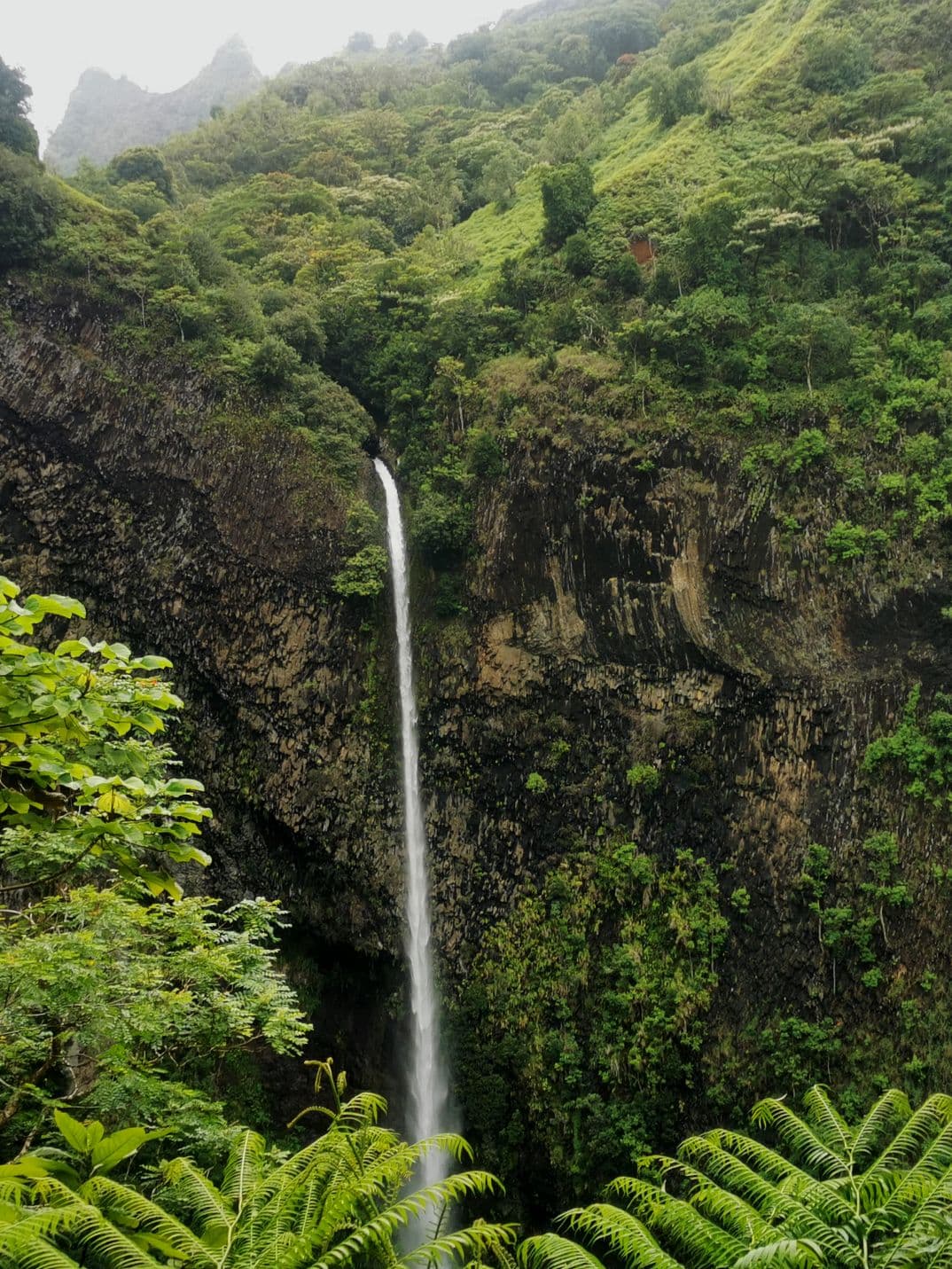 Fort Fachoda Fautaua - Image 1