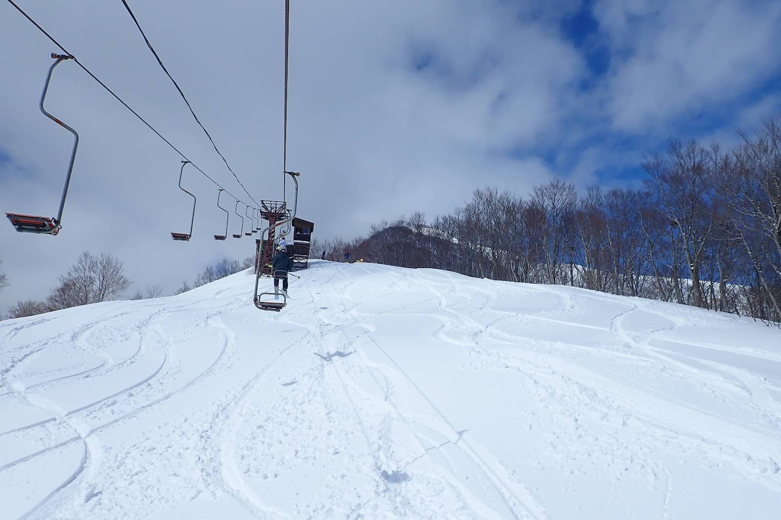 Ungroomed Terrain & Tree Runs