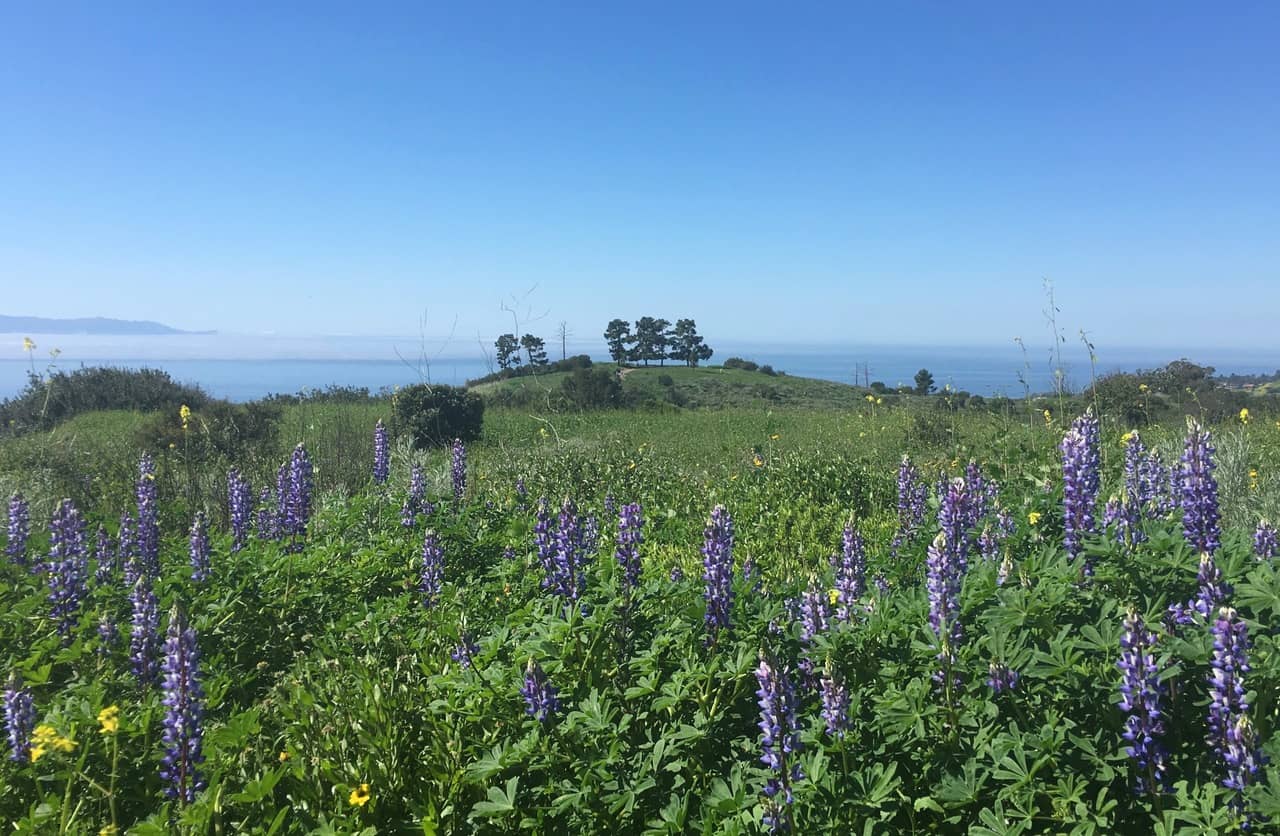 Rocky Beach Exploration