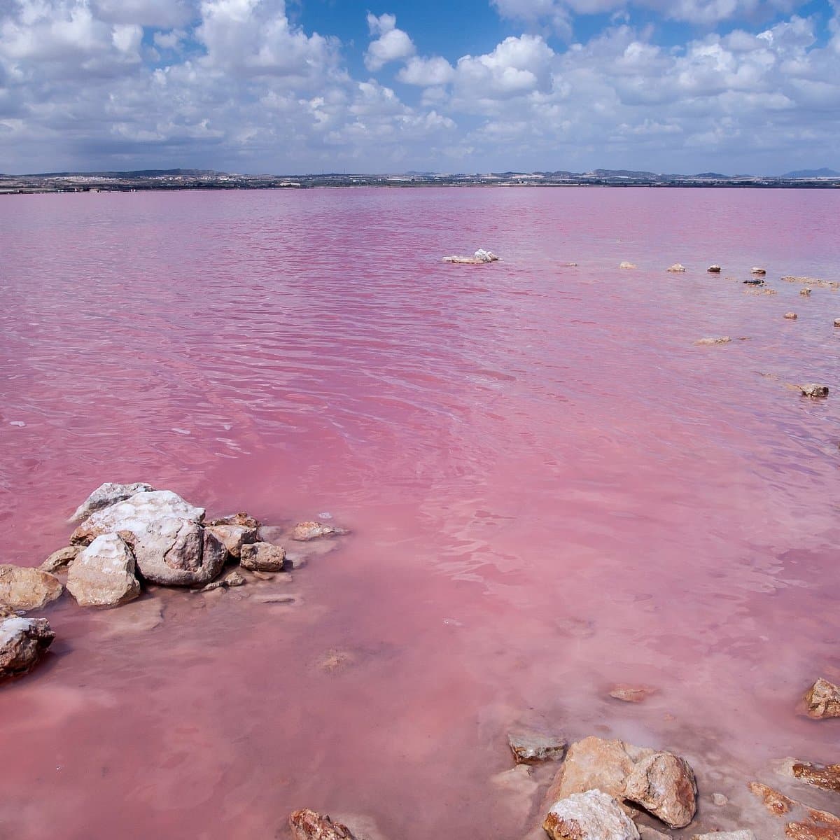 Torrevieja Pink Lake - Image 1