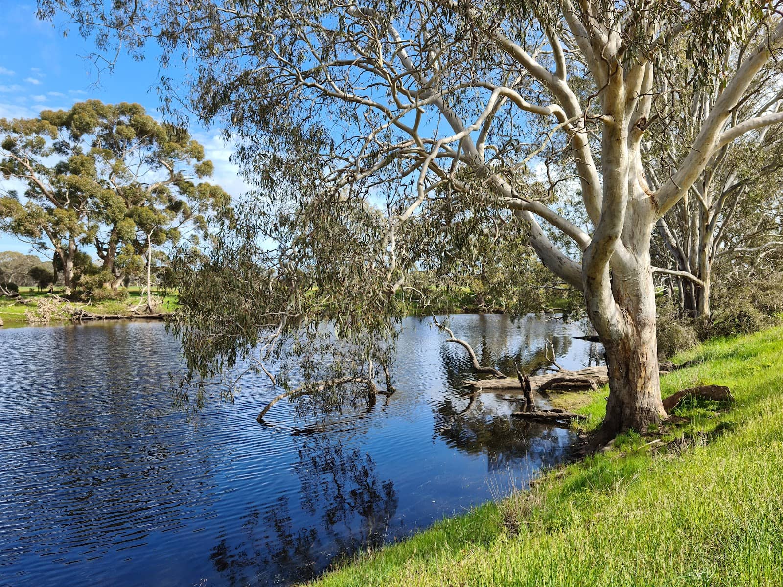 Peaceful Picnic Spot