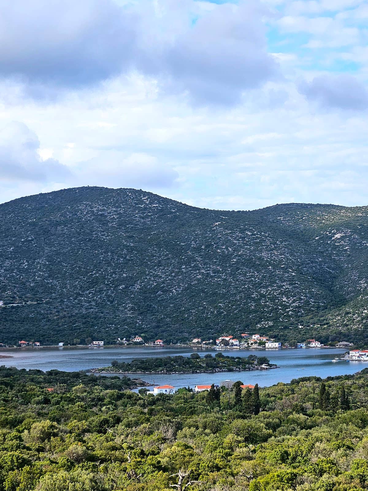 Tranquil Harbor Swim