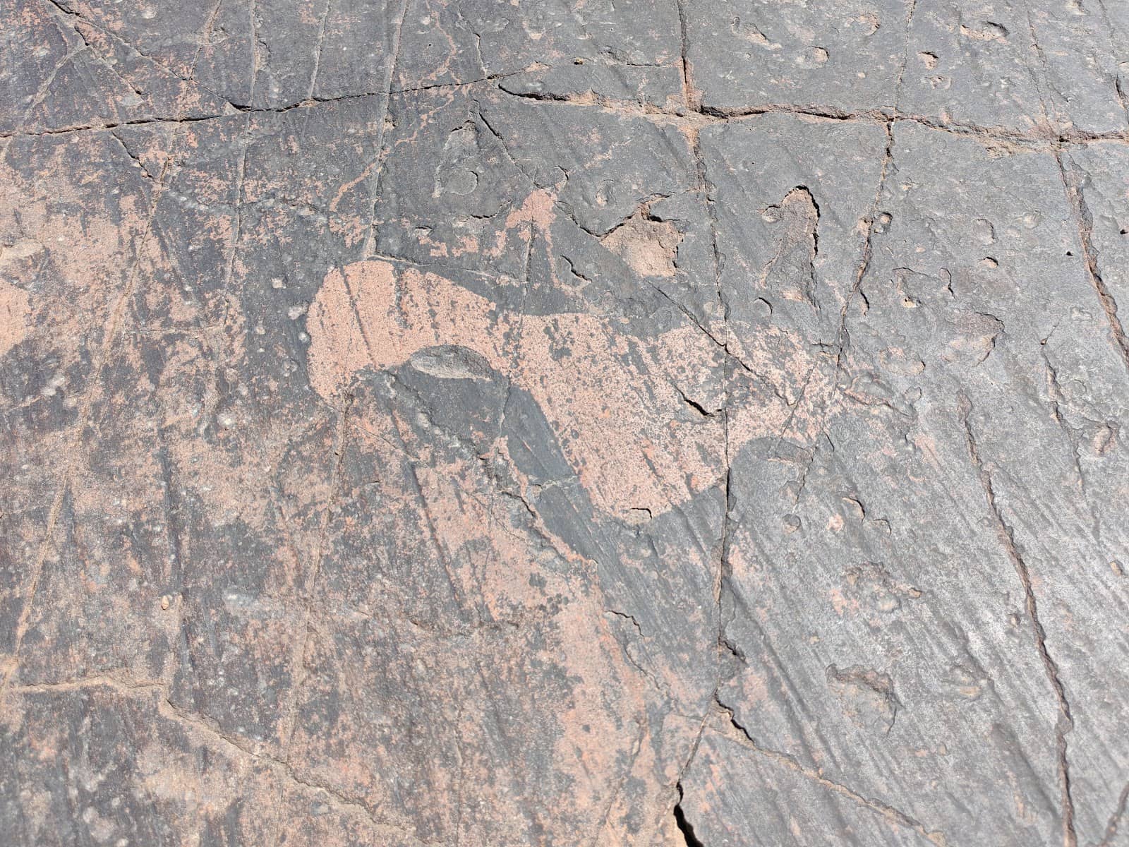 Surrounding Landscape