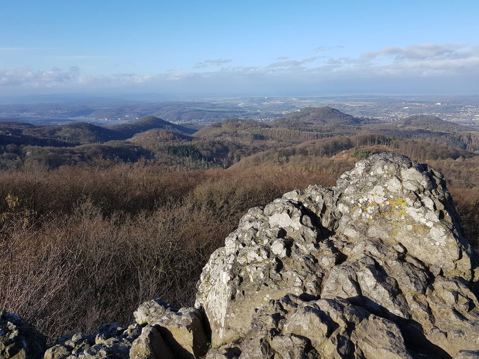 Palm Sunday Procession