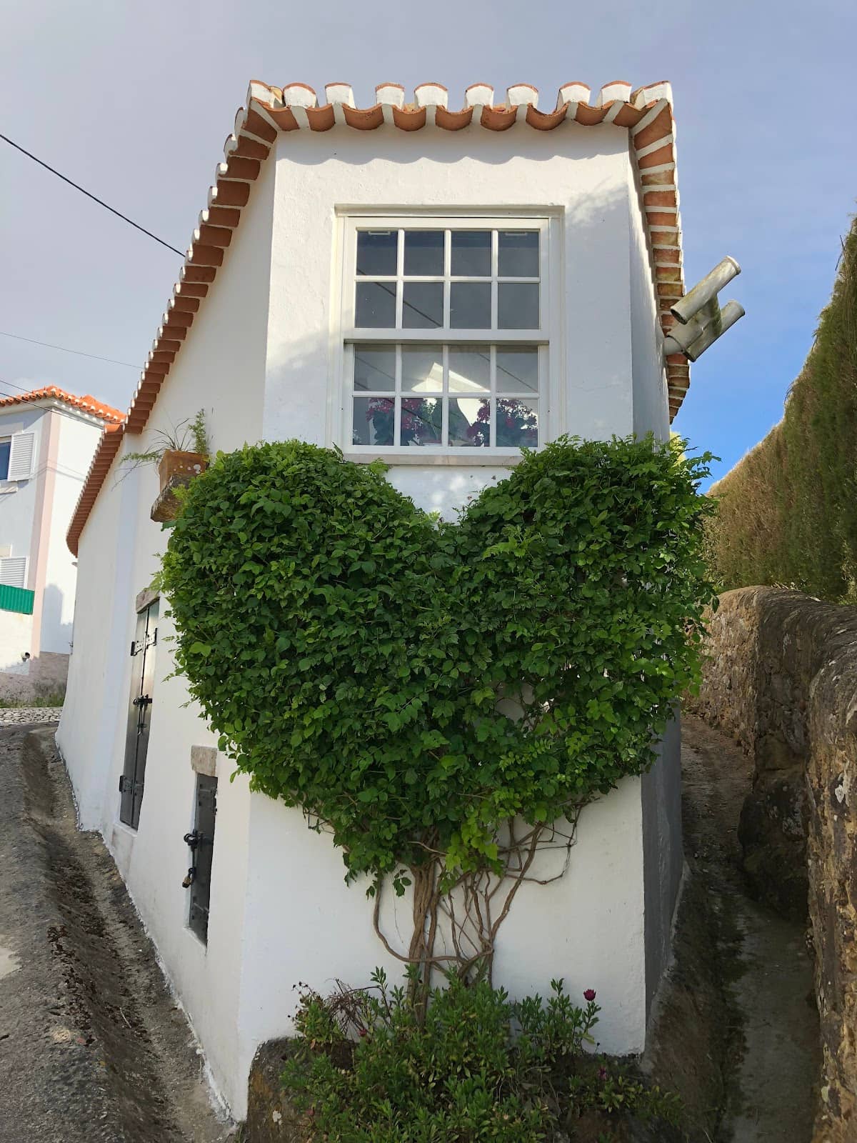 Vertical photo