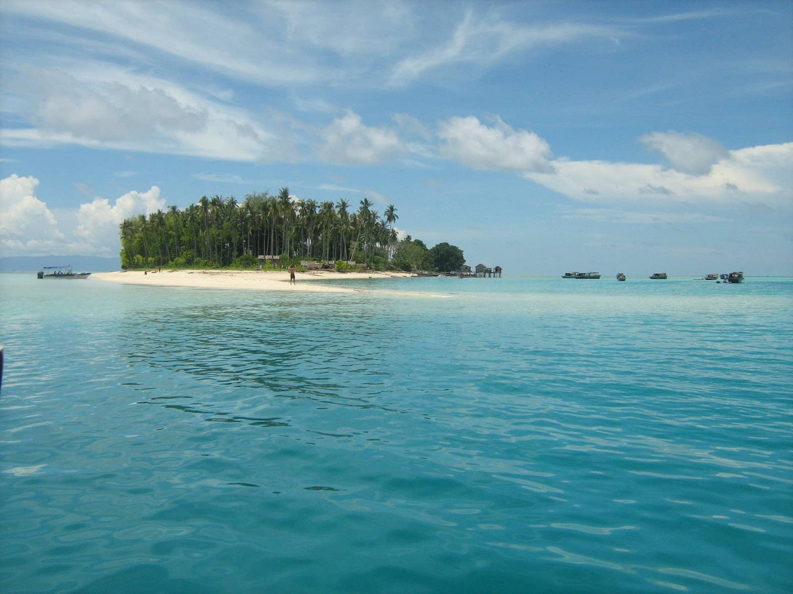 Island Stroll & Wildlife