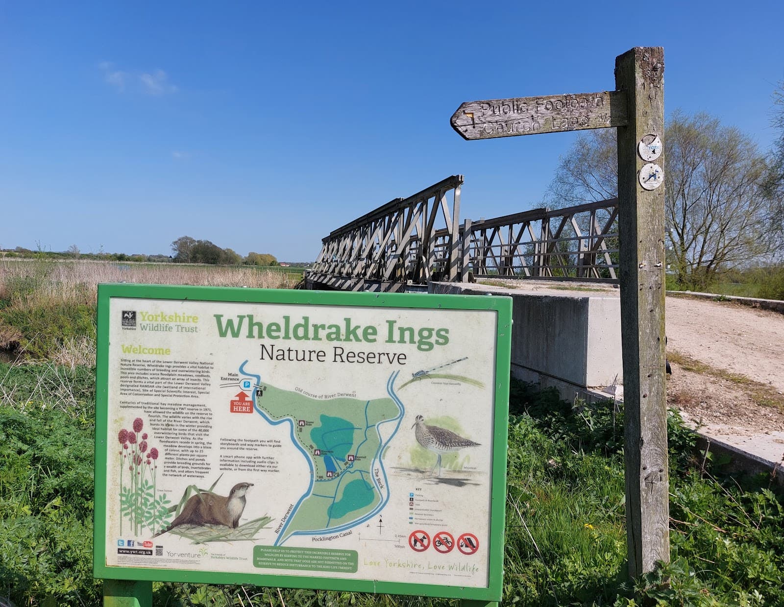 Wheldrake Ings Nature Reserve - Image 1