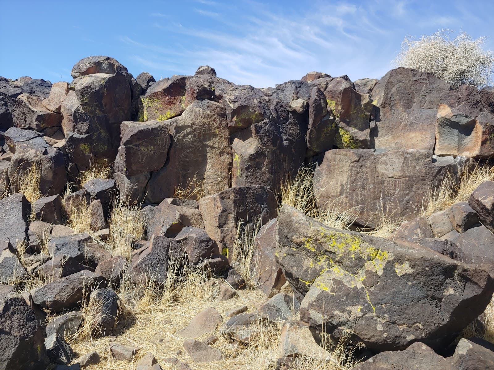 Inscription Canyon Petroglyphs - Image 1