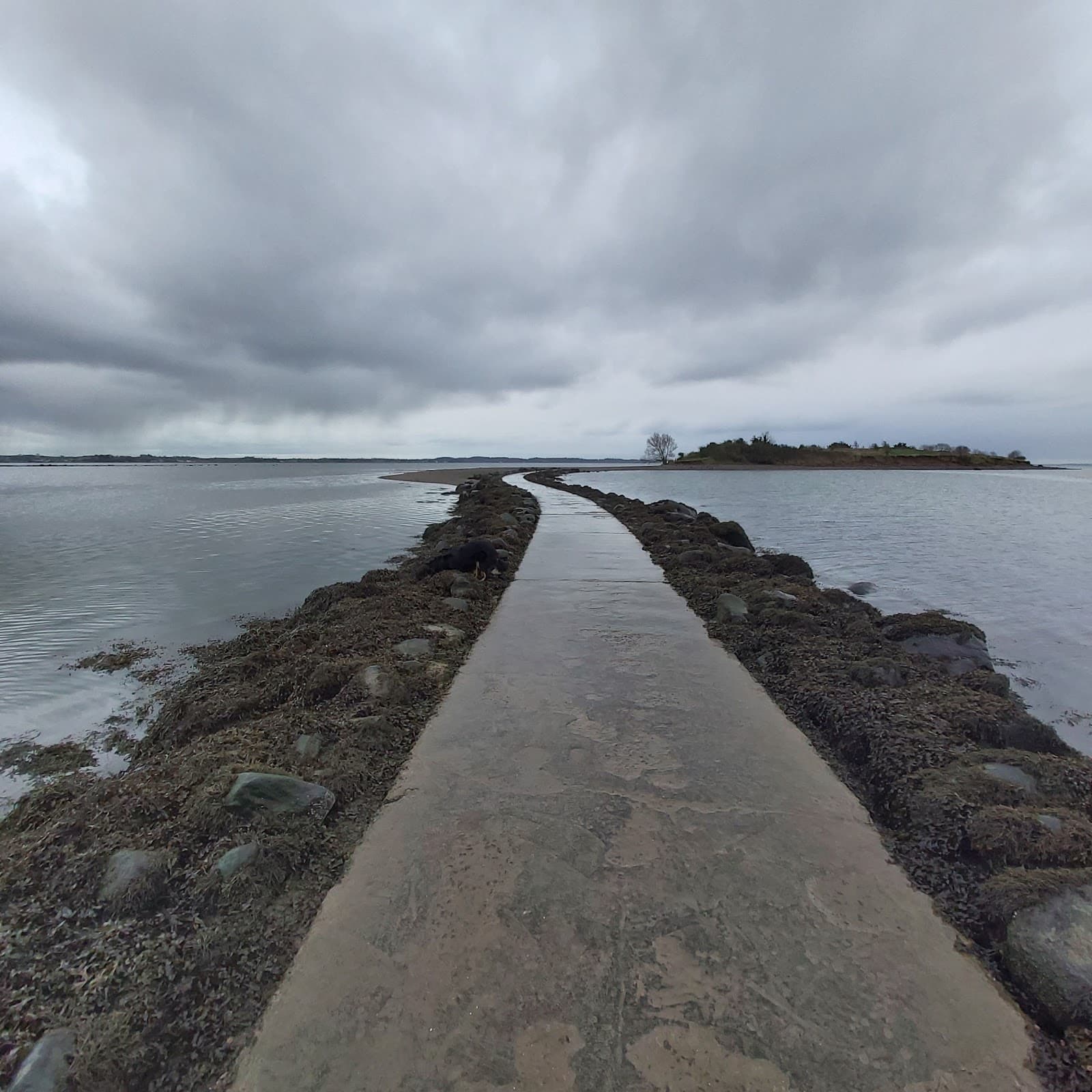Island Hill and Rough Island - Image 1