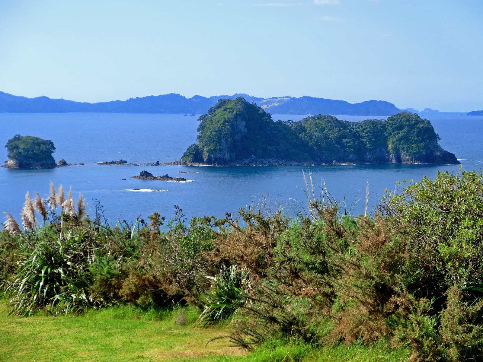 Motueka Island (Pigeon Island) - Image 1