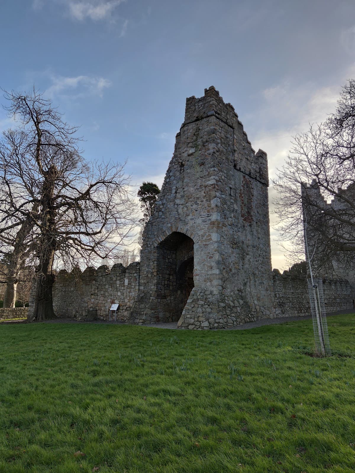 Monkstown Castle - Image 1