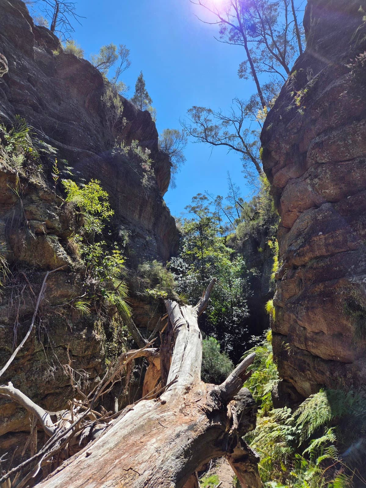 Vertical photo