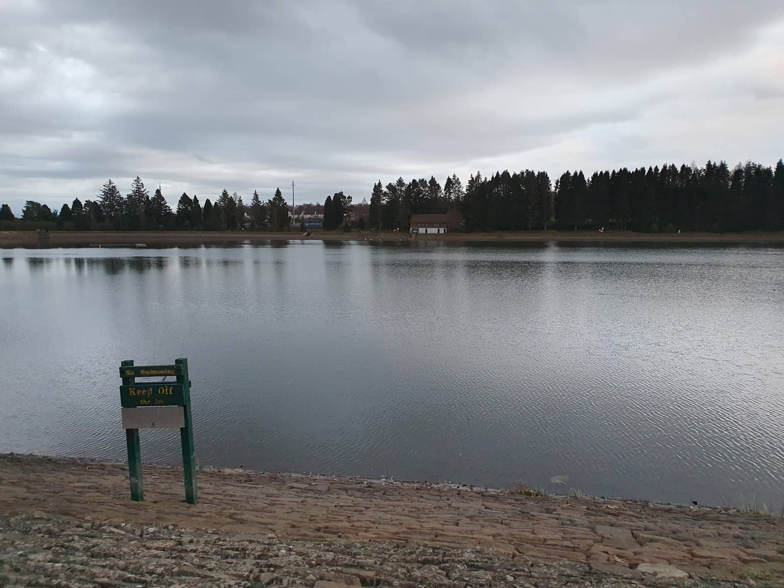 Birdwatching Haven