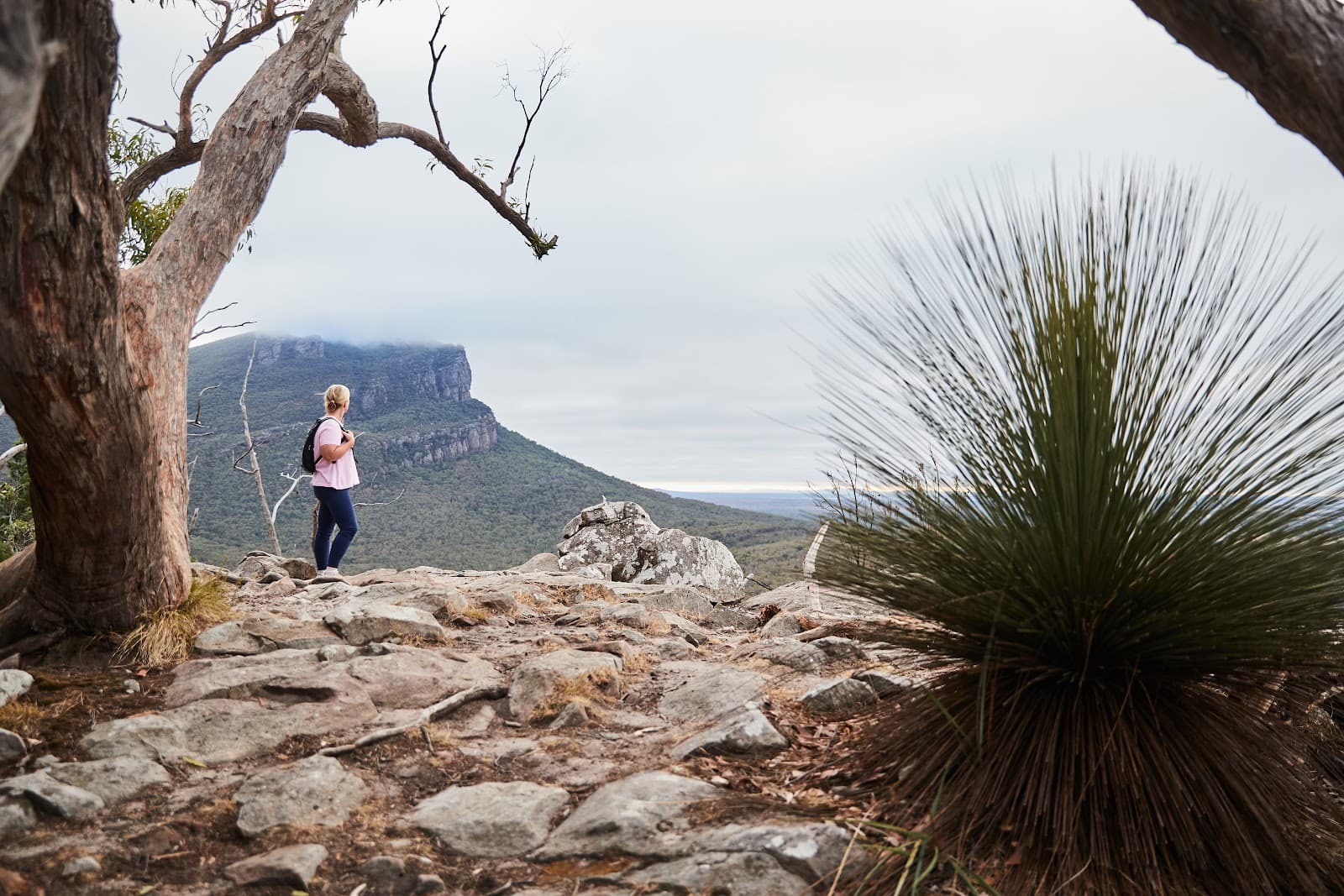 The Piccaninny - Image 1