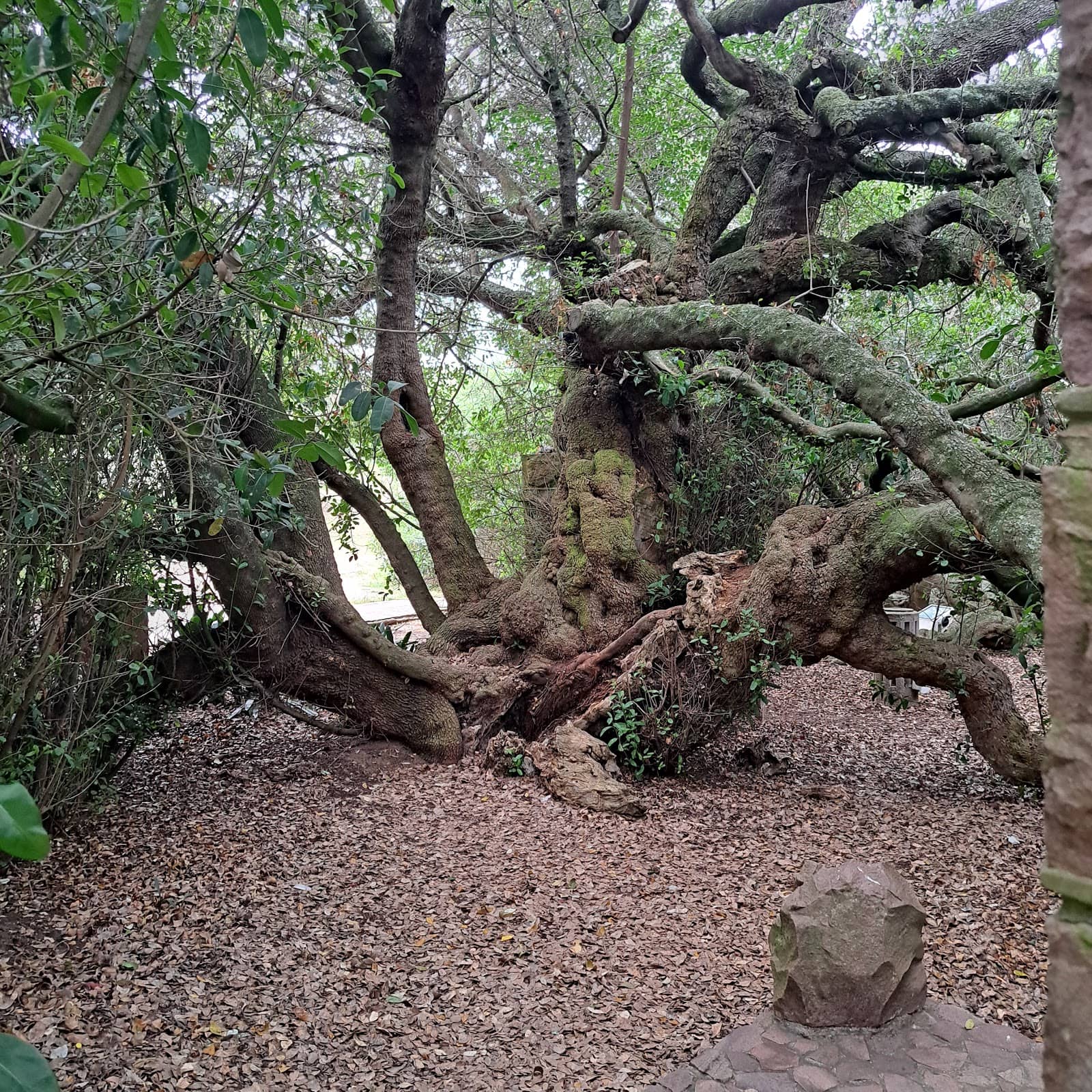 Vasco da Gama Exhibition