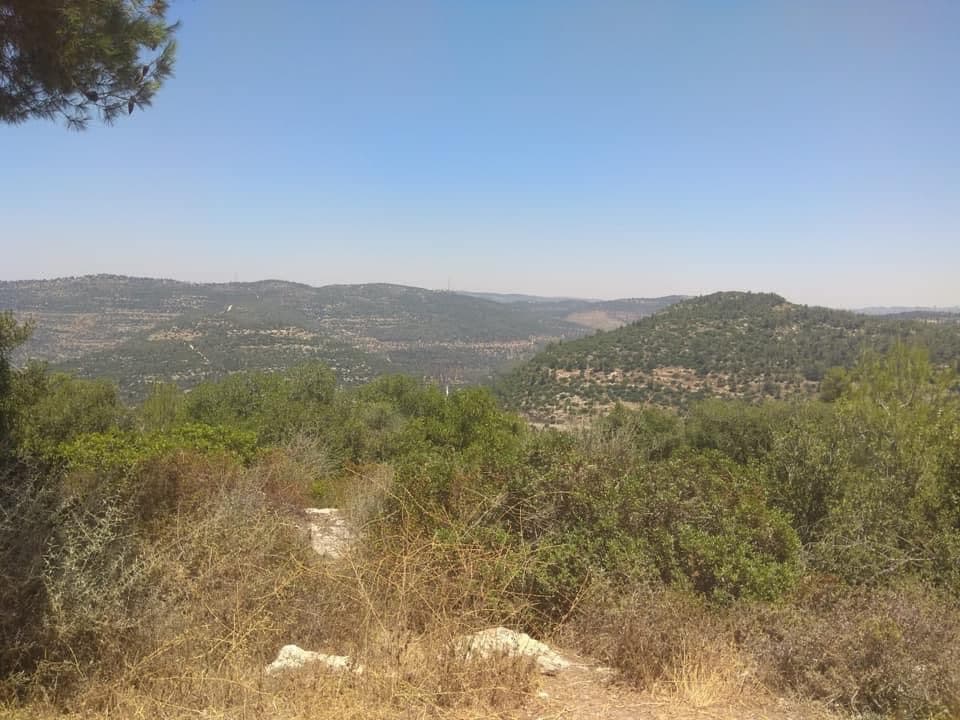 Judean Hills - Image 1