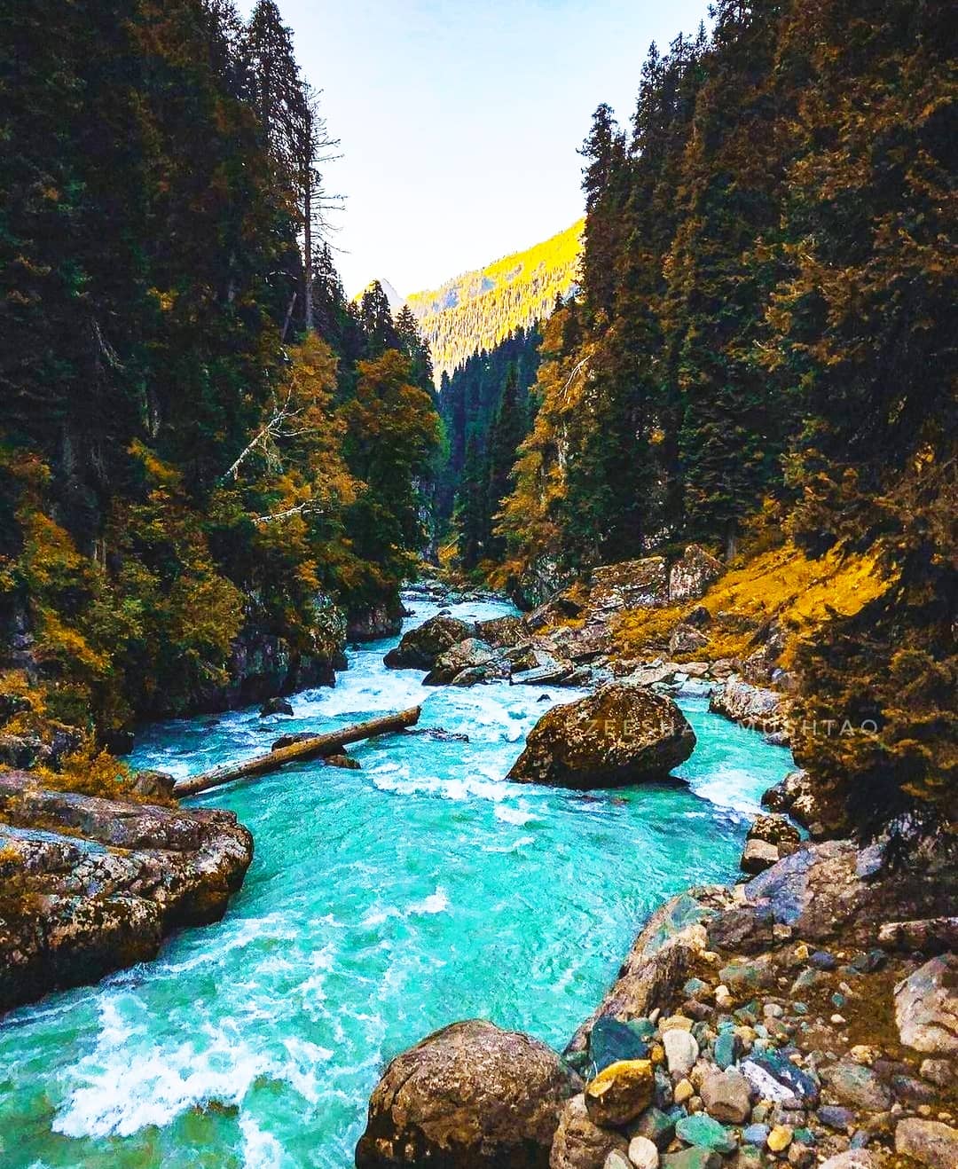 Betaab Valley's Picturesque Views