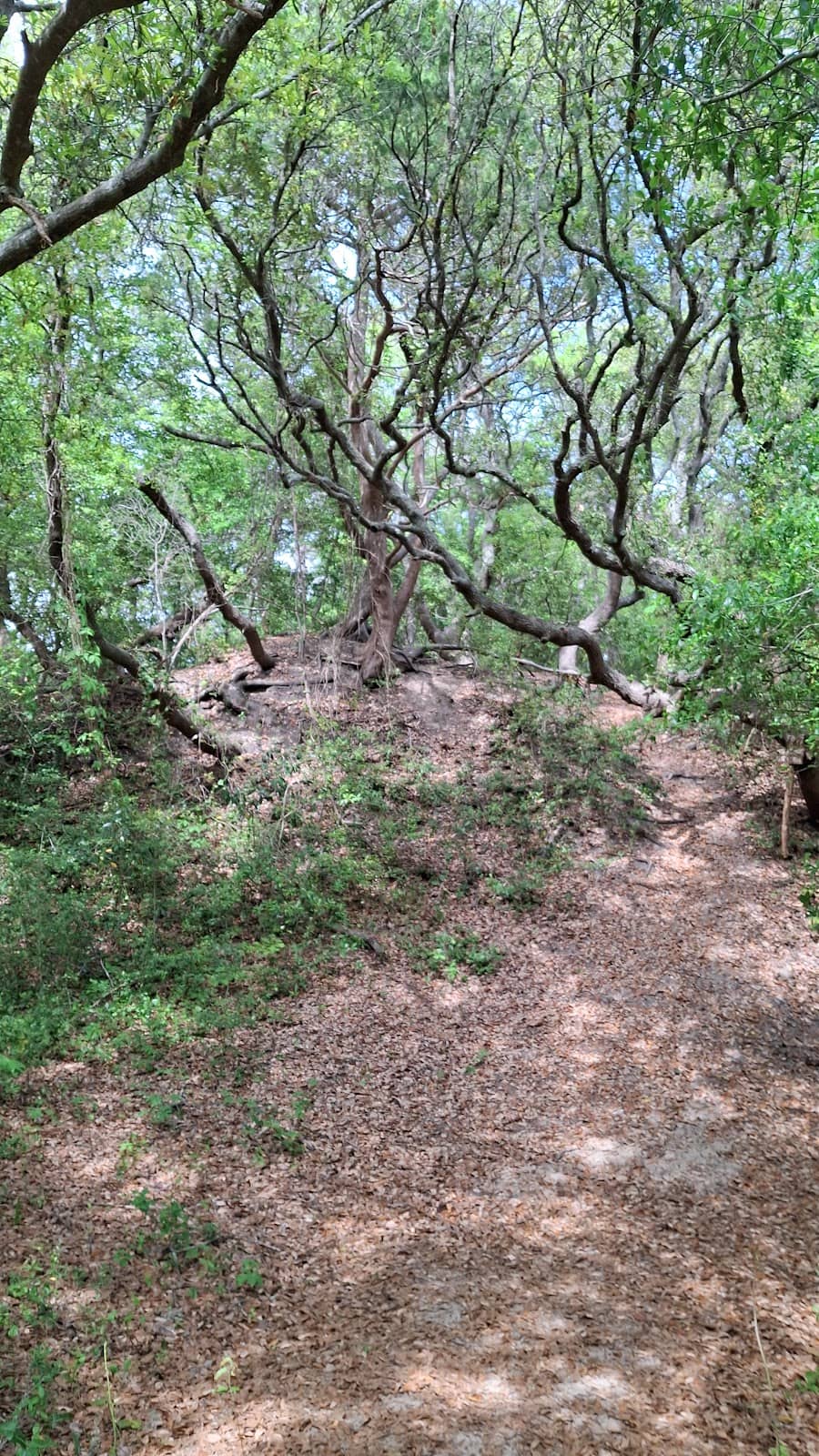 High Publicly Accessible Dunes