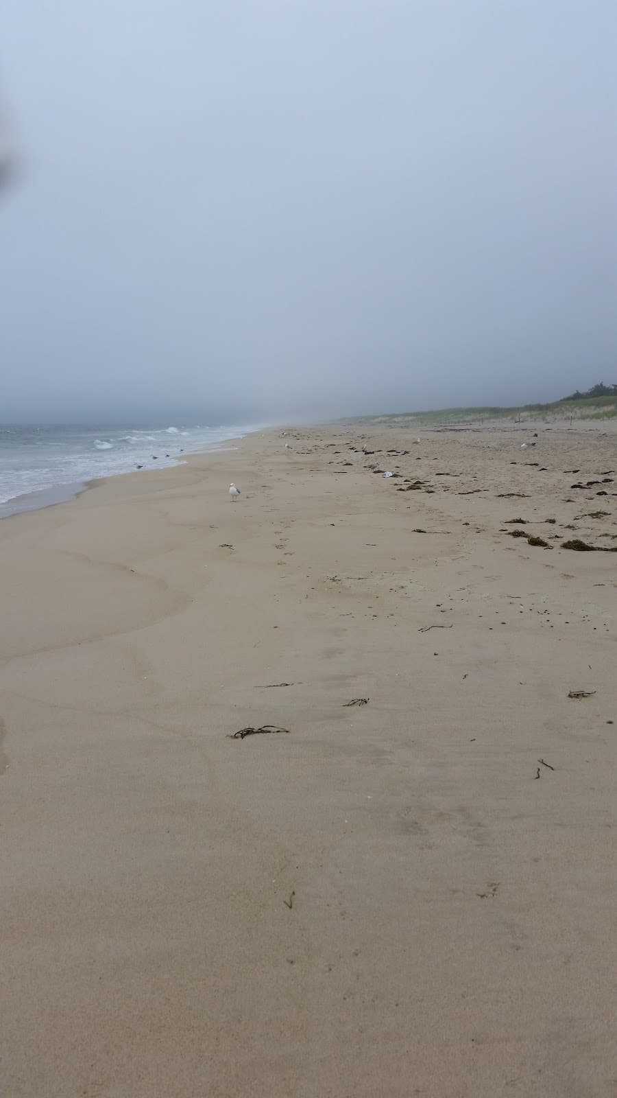Amagansett National Wildlife Refuge - Image 1