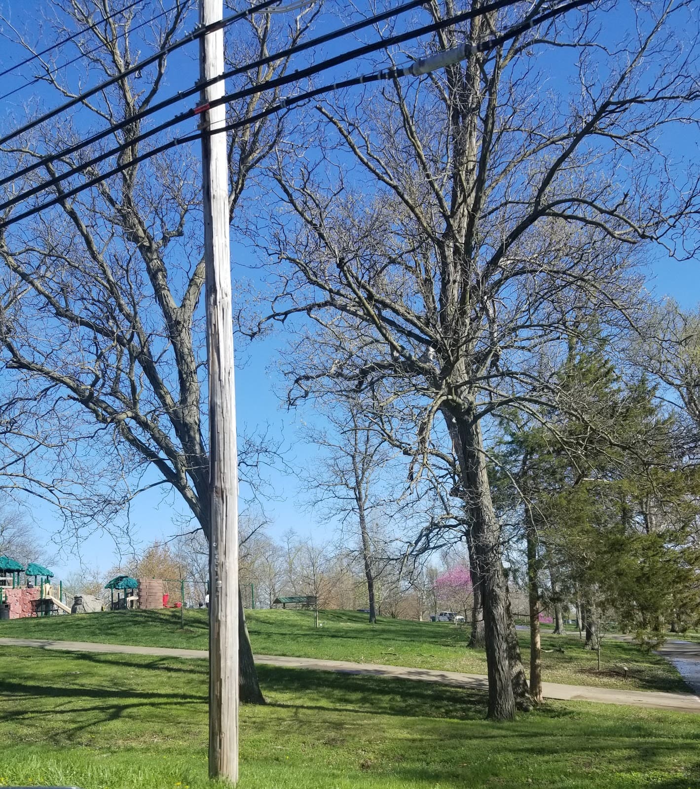 Memorial Park - Image 1