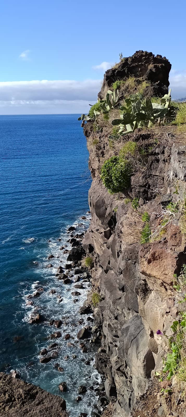Vertical photo
