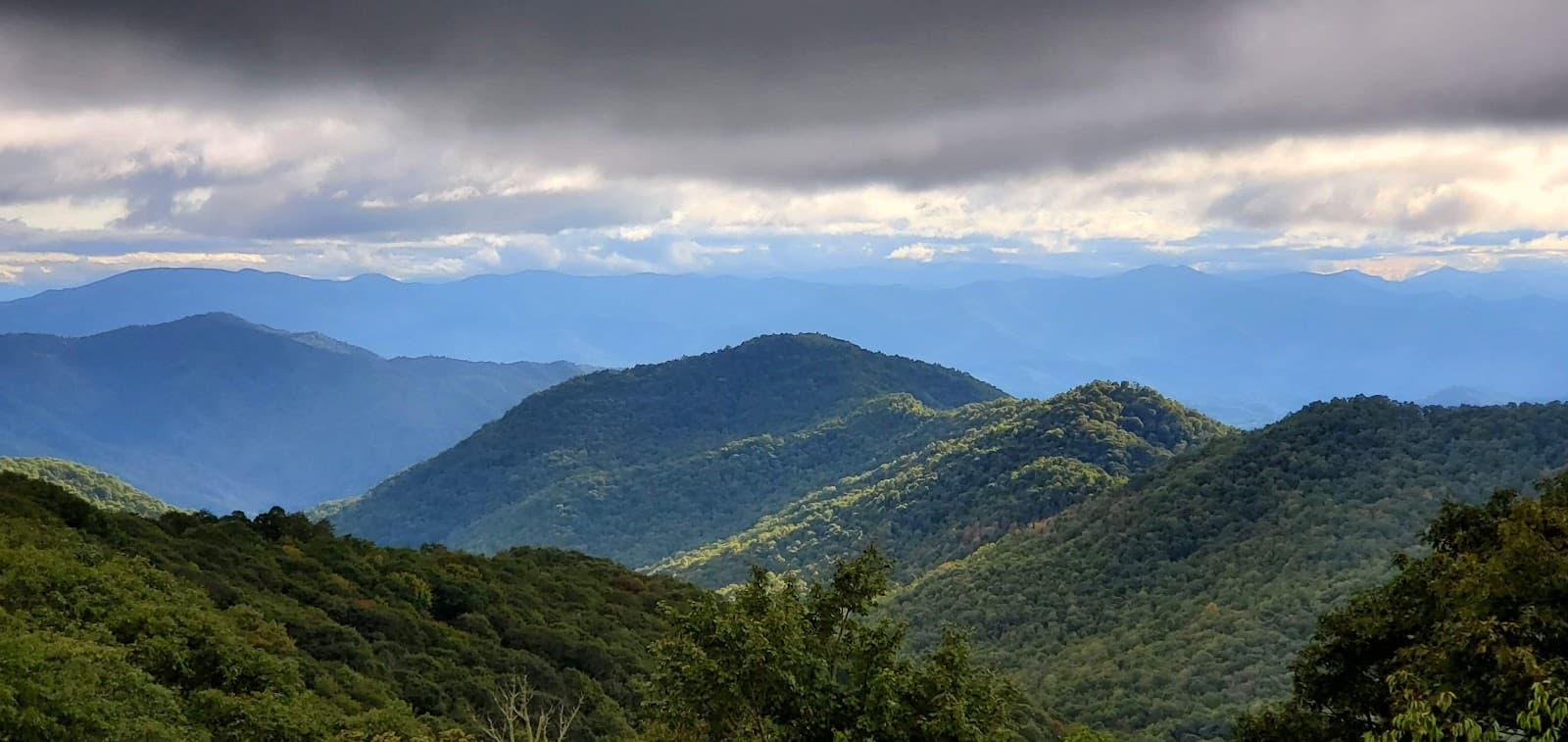 Birdtown - Image 1